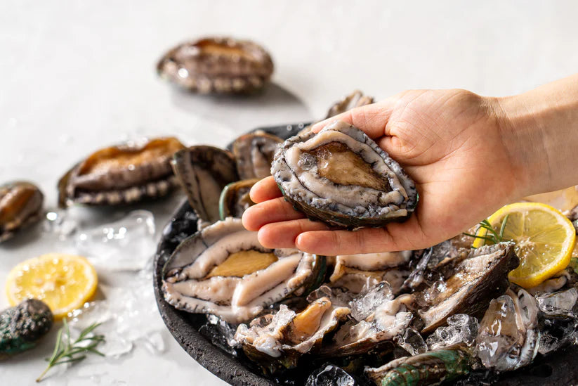 Exploring Abalone: Nature's Marine Gem